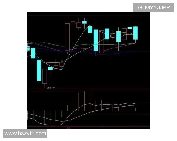 西安羽毛球队防守策略分析与比赛表现评估探讨实时数据